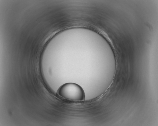 X0000114190154200910091035