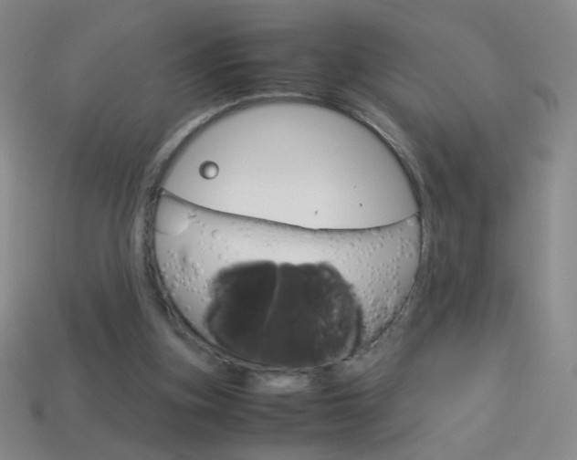 X0000114190155200910091035