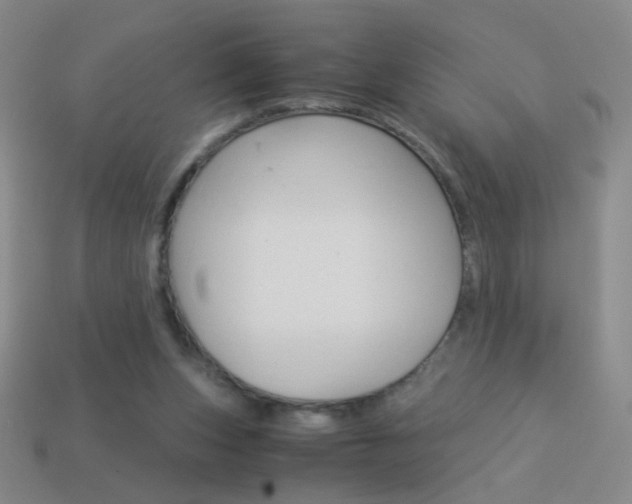 X0000114190159200910091035