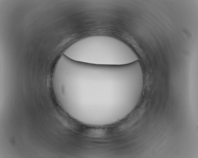 X0000114190161200910091035