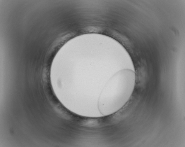 X0000114190162200910091035