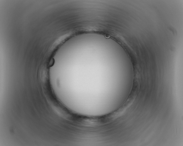 X0000114190164200910091035