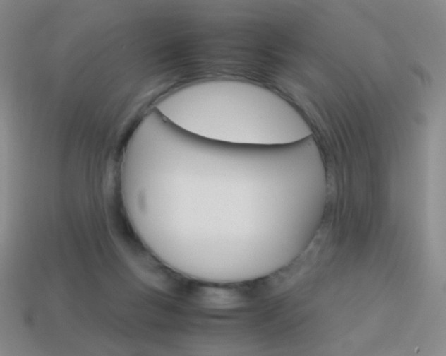X0000114190167200910091035