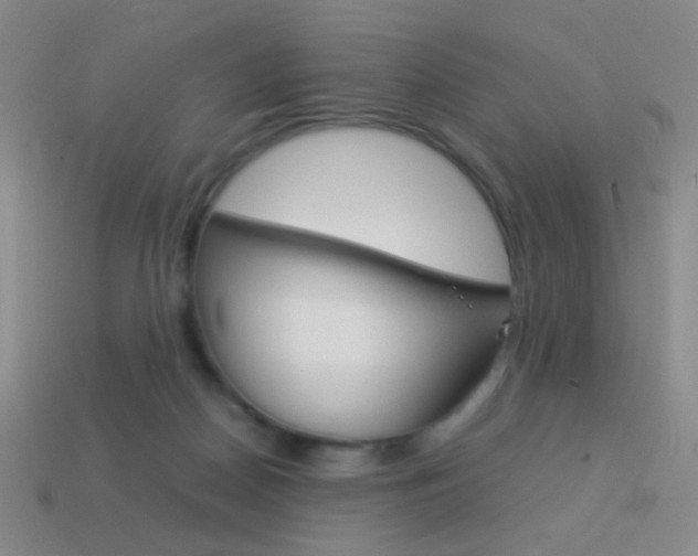 X0000114190170200910091035