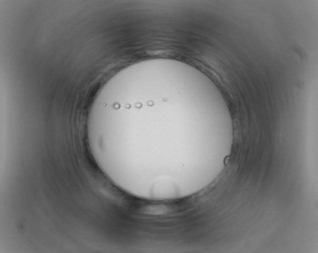 X0000114190171200910091035