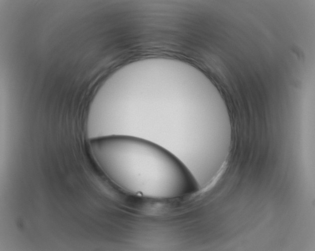 X0000114190174200910091035