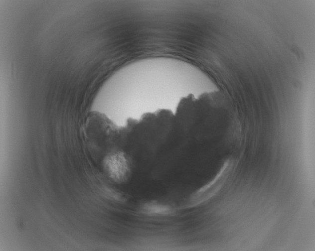 X0000114190175200910091035