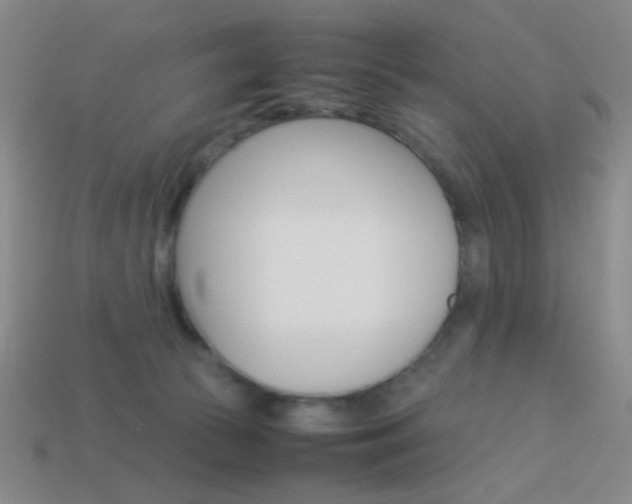 X0000114190177200910091036