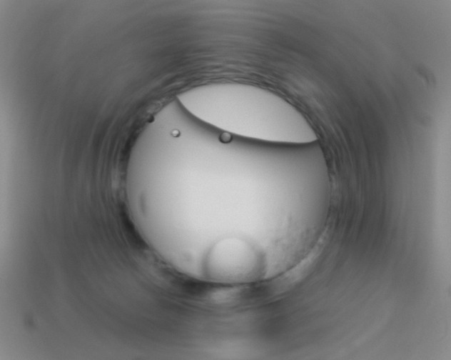 X0000114190178200910091036