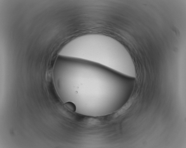 X0000114190180200910091036
