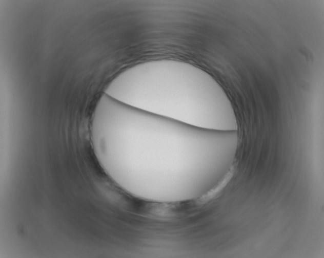 X0000114190182200910091036