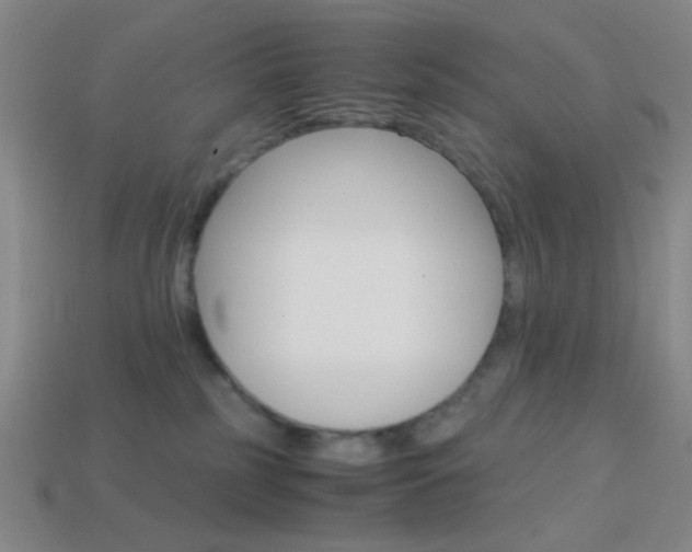 X0000114190185200910091036