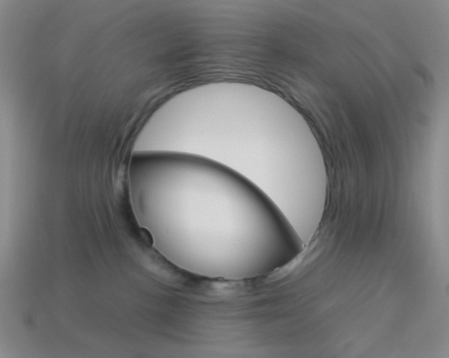 X0000114190188200910091036