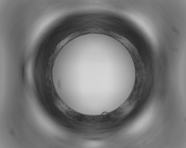 X0000114190189200910091036