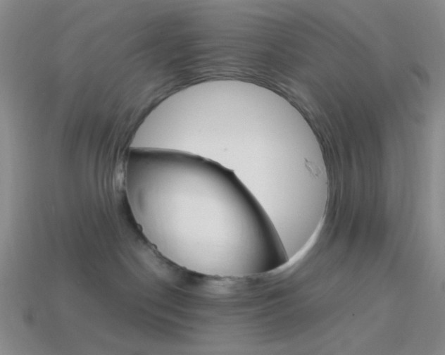 X0000114190190200910091036