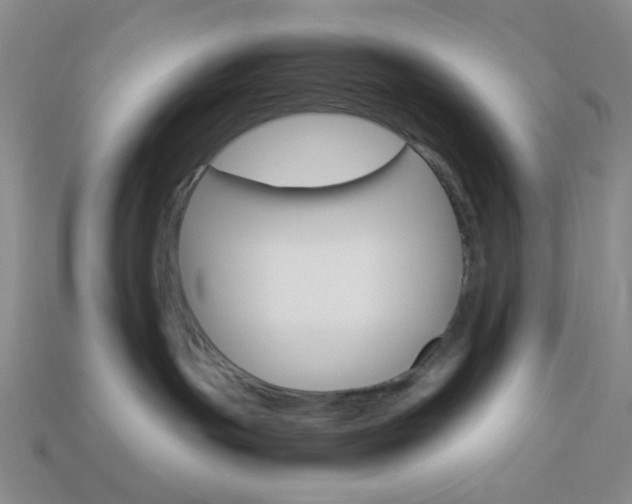 X0000114190191200910091036