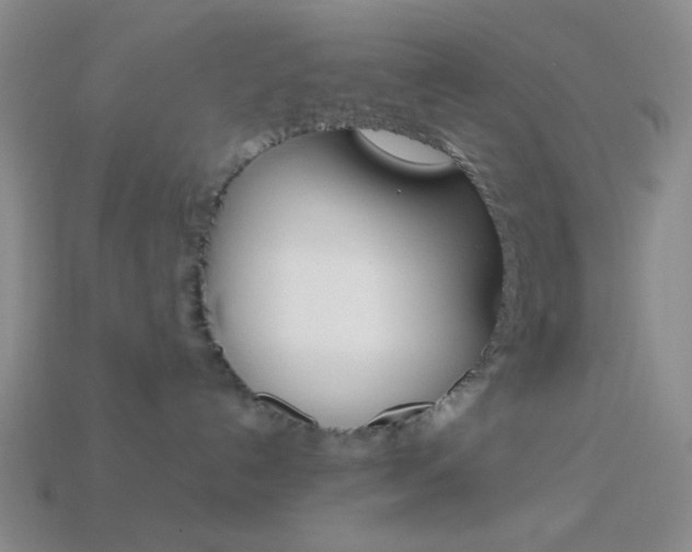 X0000114190192200910091036