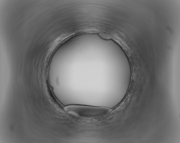 X0000114190193200910091035