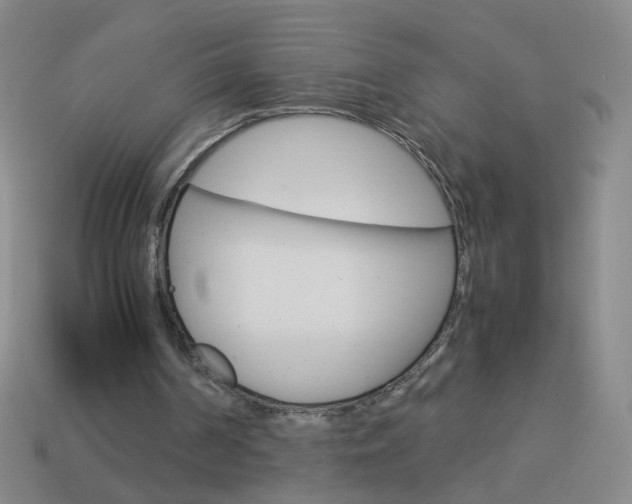 X0000114190194200910091035