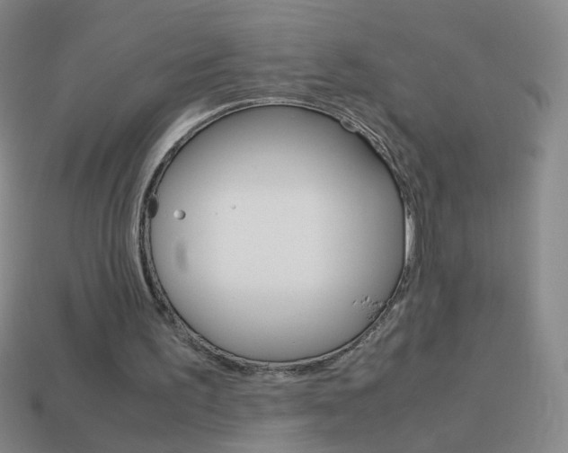 X0000114190195200910091035