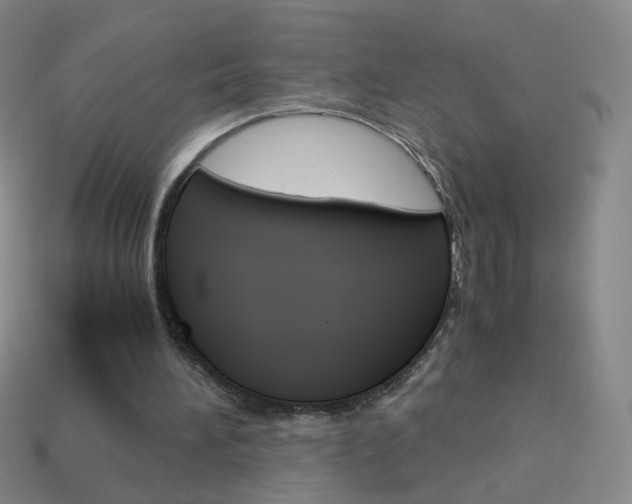 X0000114190196200910091035