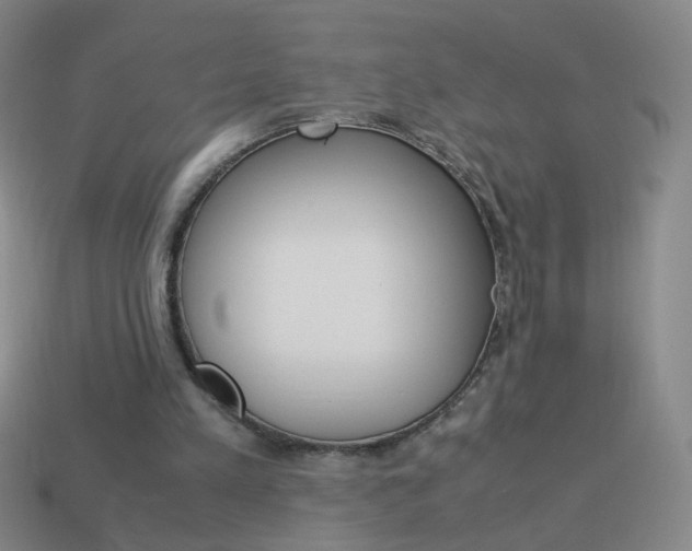 X0000114190197200910091035