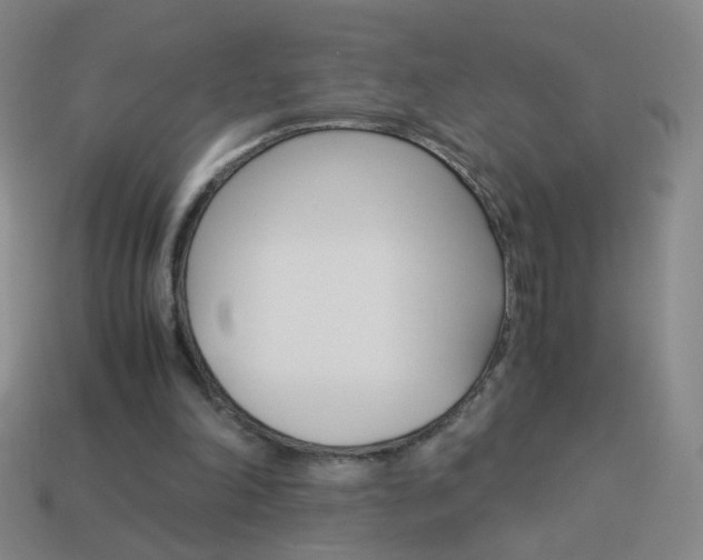 X0000114190198200910091035