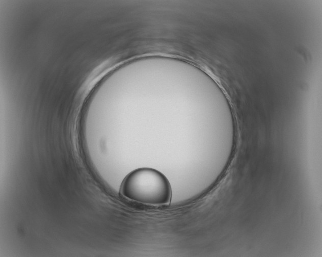 X0000114190199200910091035