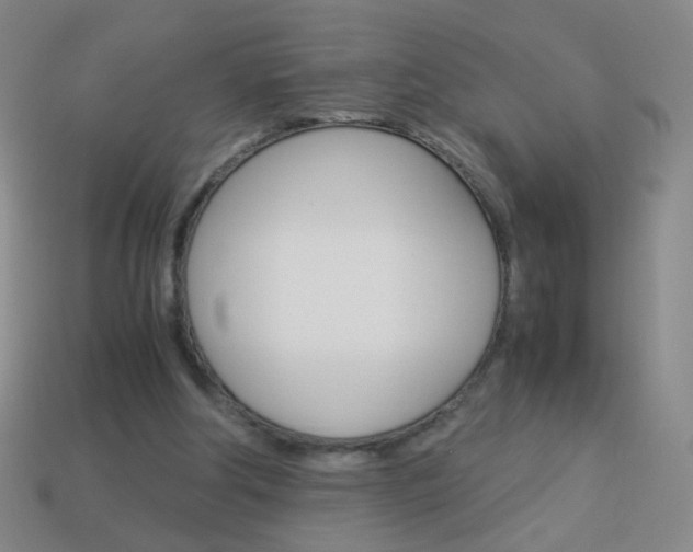 X0000114190202200910091035
