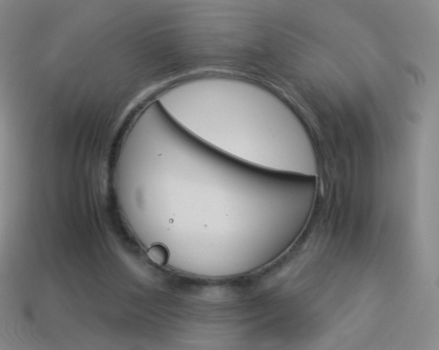 X0000114190204200910091035
