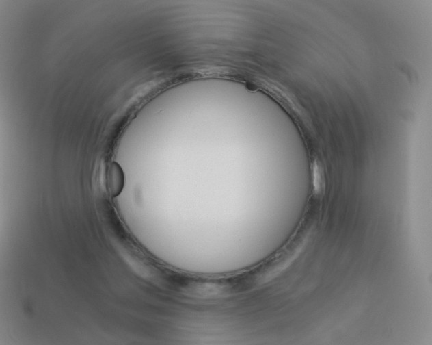 X0000114190205200910091035