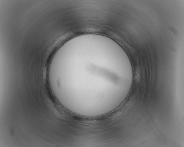 X0000114190206200910091035