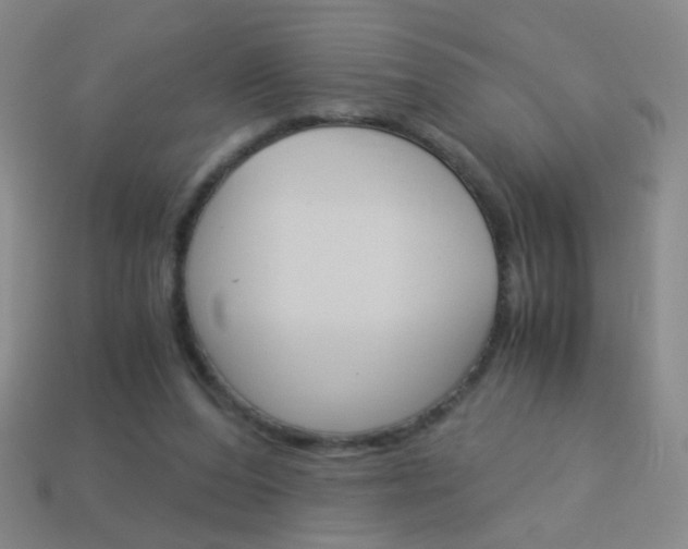 X0000114190208200910091035
