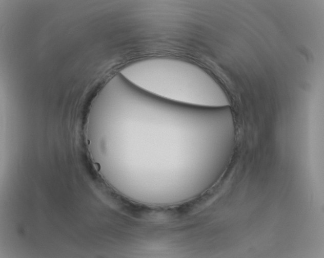 X0000114190209200910091035