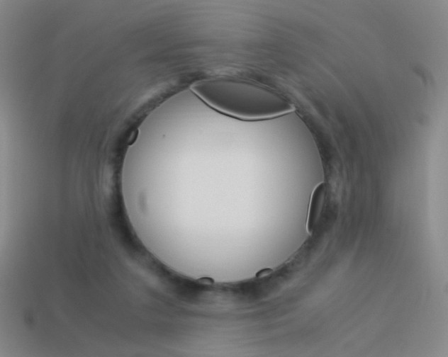 X0000114190211200910091035