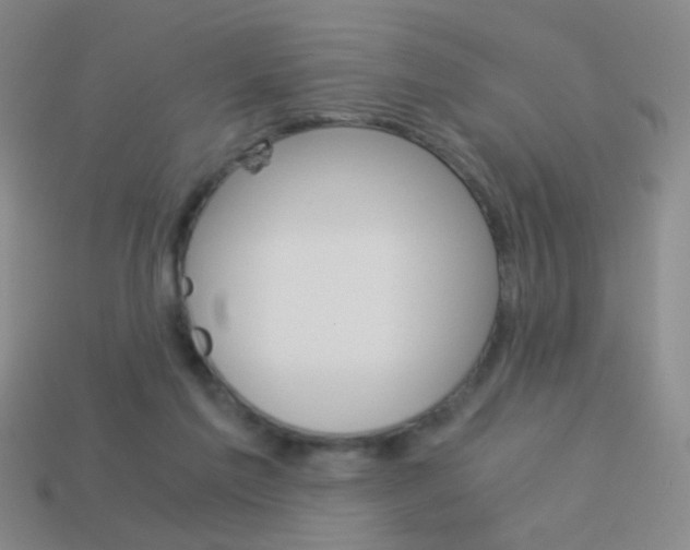 X0000114190213200910091035