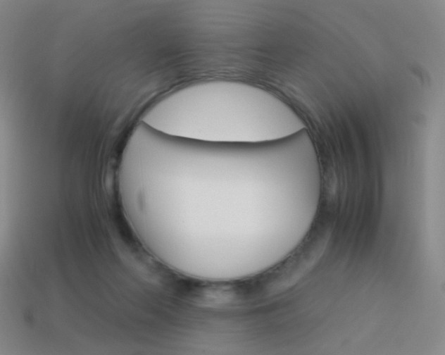 X0000114190214200910091035