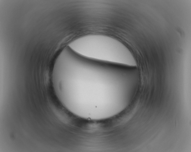 X0000114190216200910091035