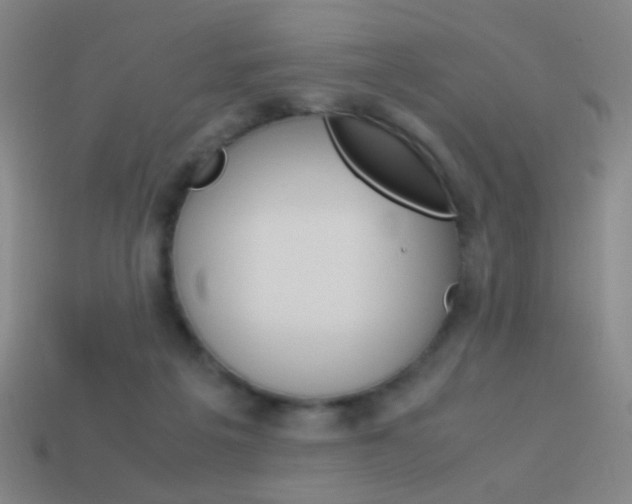 X0000114190217200910091035