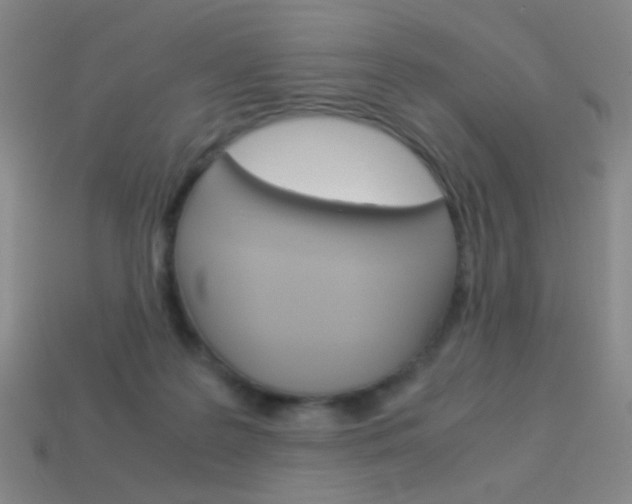 X0000114190219200910091035