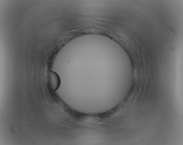 X0000114190223200910091035