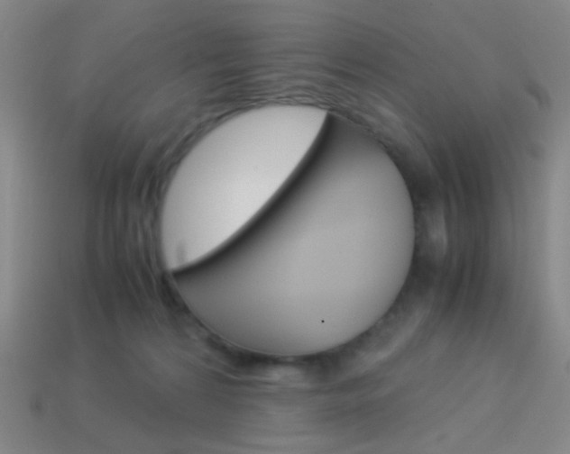 X0000114190224200910091035