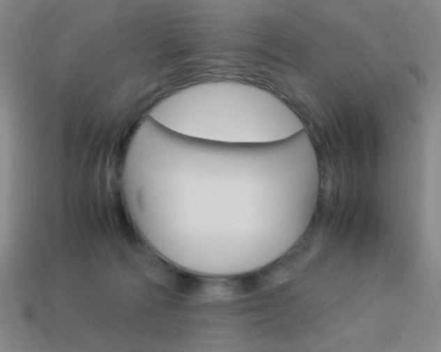 X0000114190226200910091035