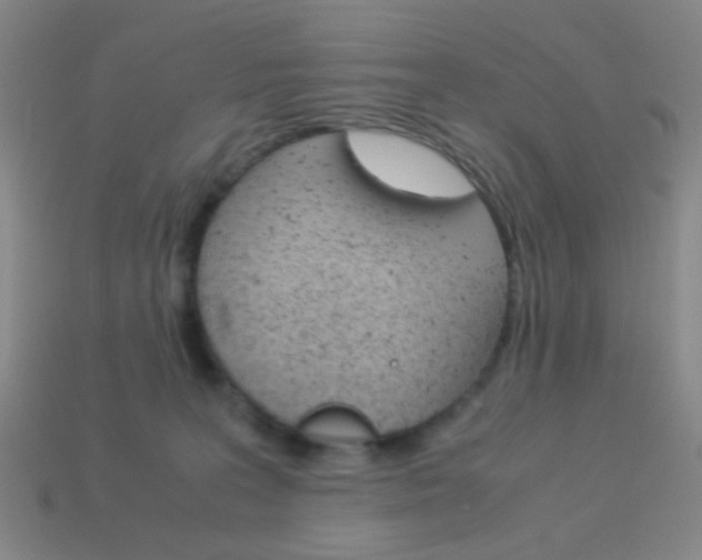 X0000114190227200910091035