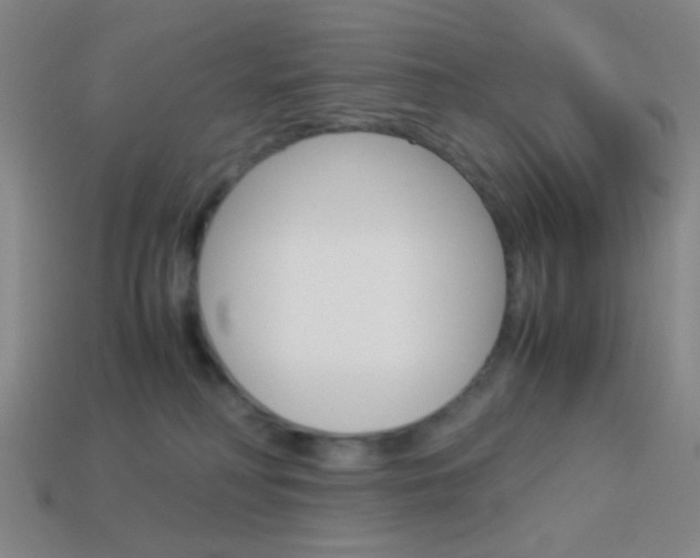 X0000114190230200910091035