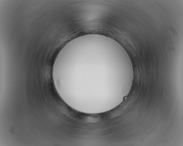 X0000114190232200910091035