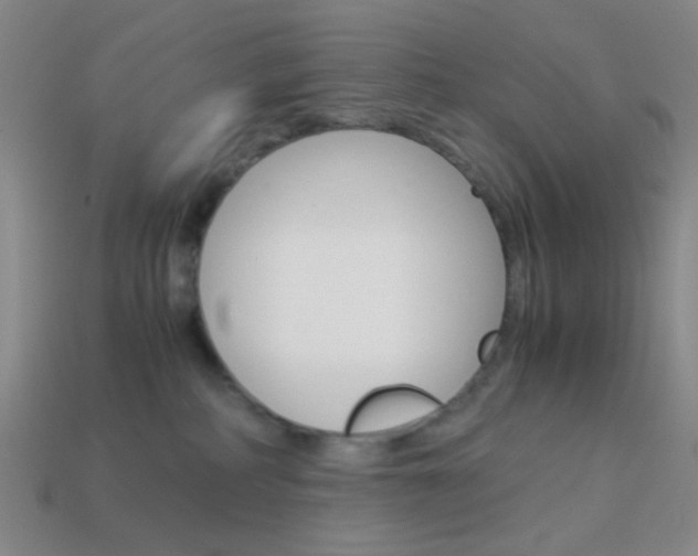 X0000114190234200910091035