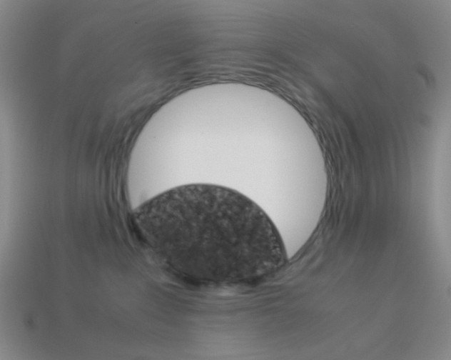 X0000114190235200910091035