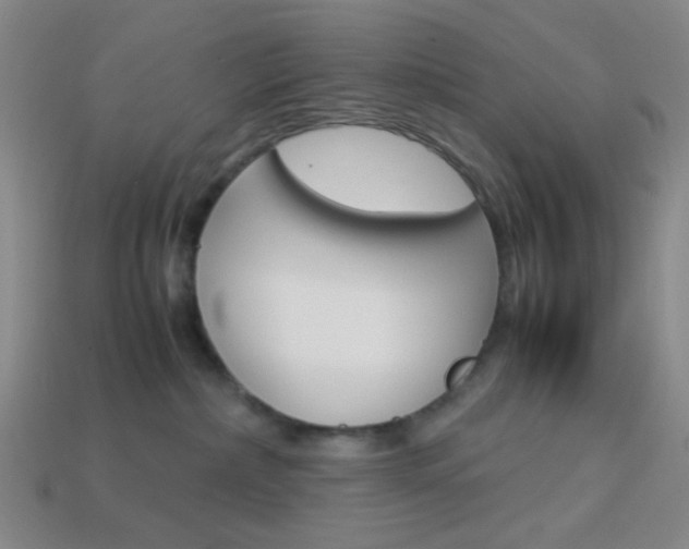X0000114190236200910091035