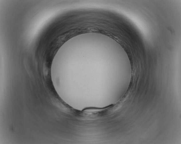 X0000114190239200910091035